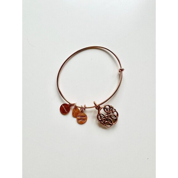 Lot of 3 ALEX & ANI Path of Life Silver & Rose Gold Charm Wire Bangle Bracelets - Picture 10 of 14